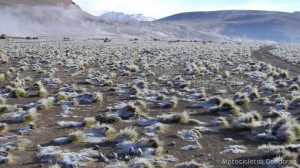 El Tatio - Chile 