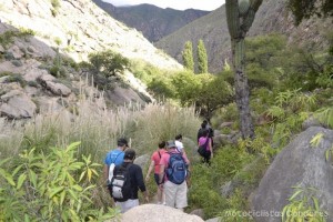 Cafayate - Argentina