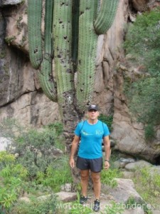 Cafayate - Argentina