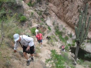 Cafayate - Argentina