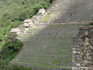 Machu Picchu - Peru